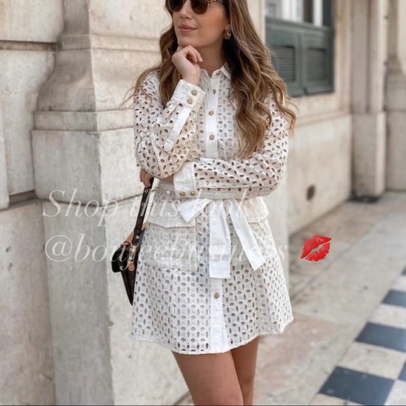 ZARA BNWT Openwork Embroidered Dress with Cuffed Sleeve - Picture 4 of 13